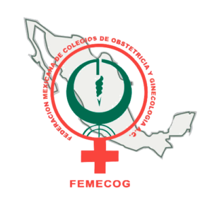 FEMECOG_2