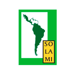 SOLAMI_SF